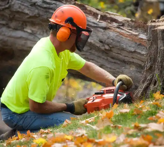 tree services Mesilla